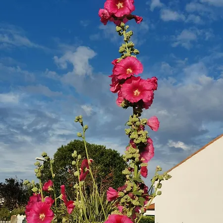 Maison Avec Jardin Au Calme
